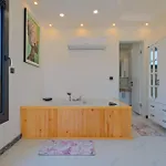 فيلة Mera 1